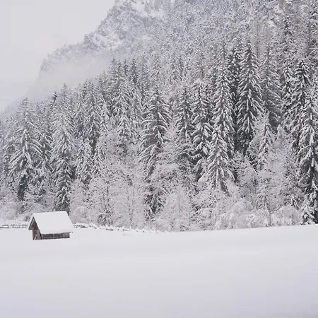 فندق مبيت وإفطار Fruehstueckspension Auer - Haus Kargl سخلادميخ