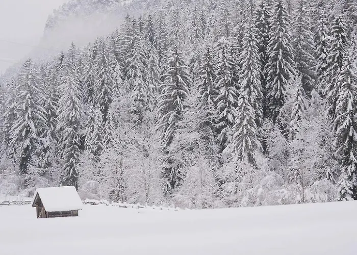 Nocleg ze śniadaniem Fruehstueckspension Auer - Haus Kargl Schladming